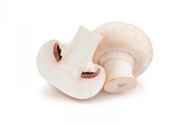 1-witte-champignons-1642581039
