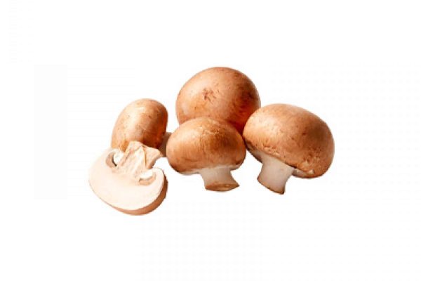 2-kastanje-champignons-1642581068
