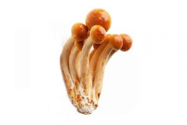 nameko-1642580635