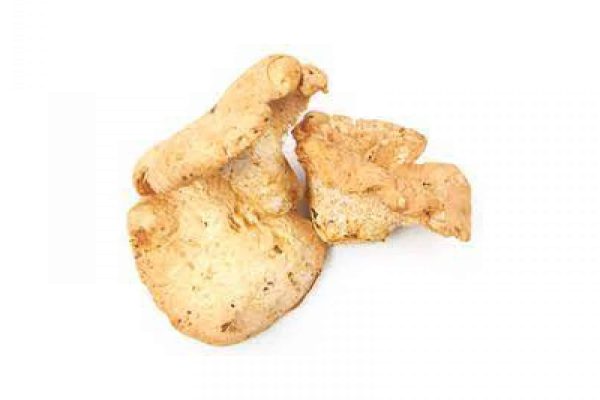 pied-du-mouton-1642580670
