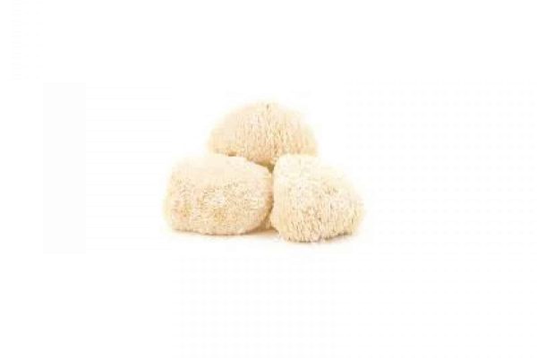 pompom-blanc-1642580694