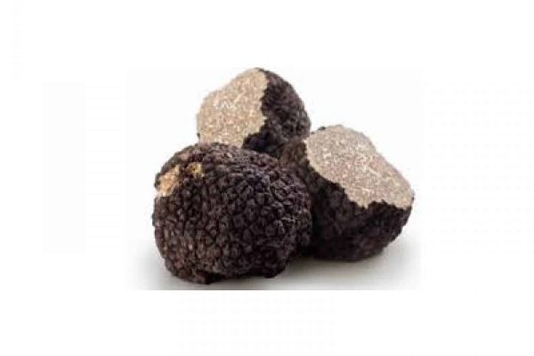 truffel-1642580735